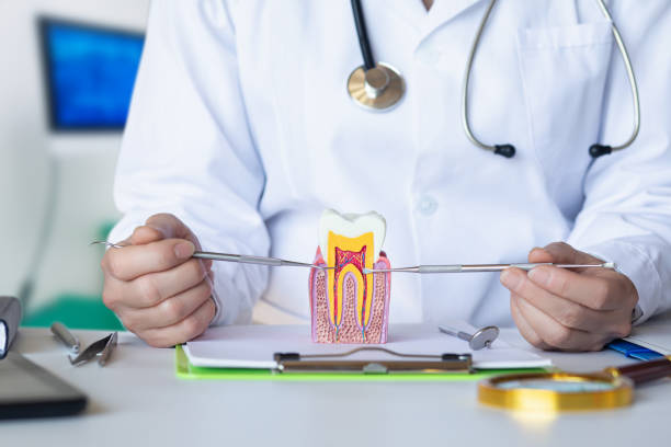 Best Broken Tooth Emergency  in Columbia, KY